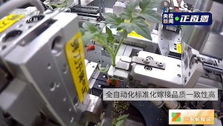 越疆協作機器人的自動嫁接應用場景